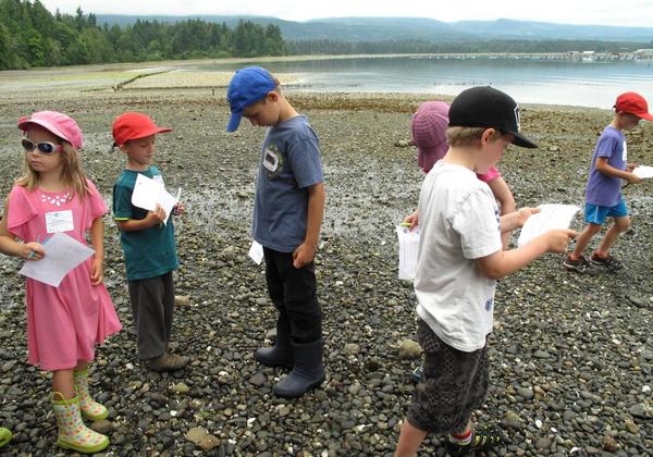 Students on the beach with notes