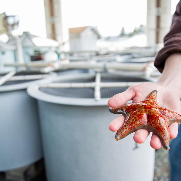VIU student holding a starfish