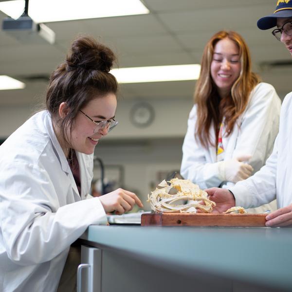 Fish and aqua students in the fish biology lab
