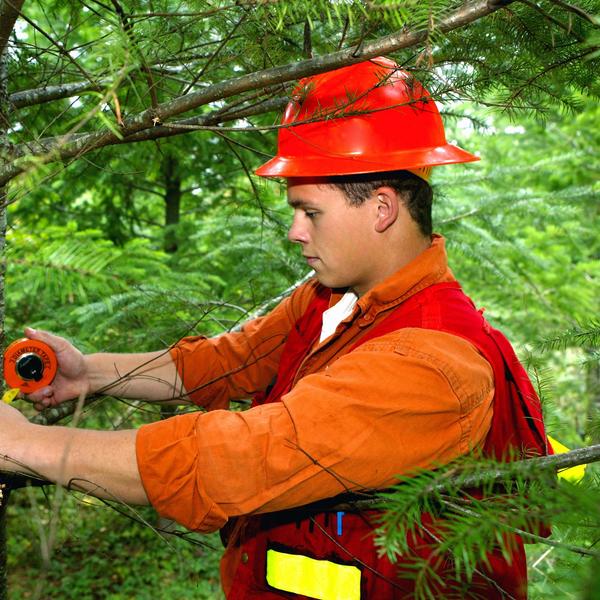 man uses diameter tape