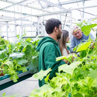 Fish & Aqua students in aquaponics greenhouse