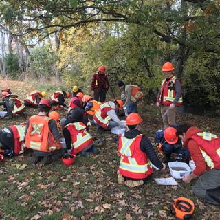 A group of students in safety gear working in a forest clearing. 