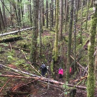 Students assessing karst features in the field for GEOL 401