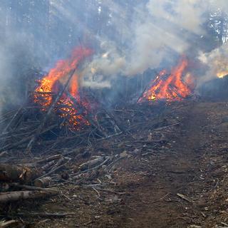 pile burning