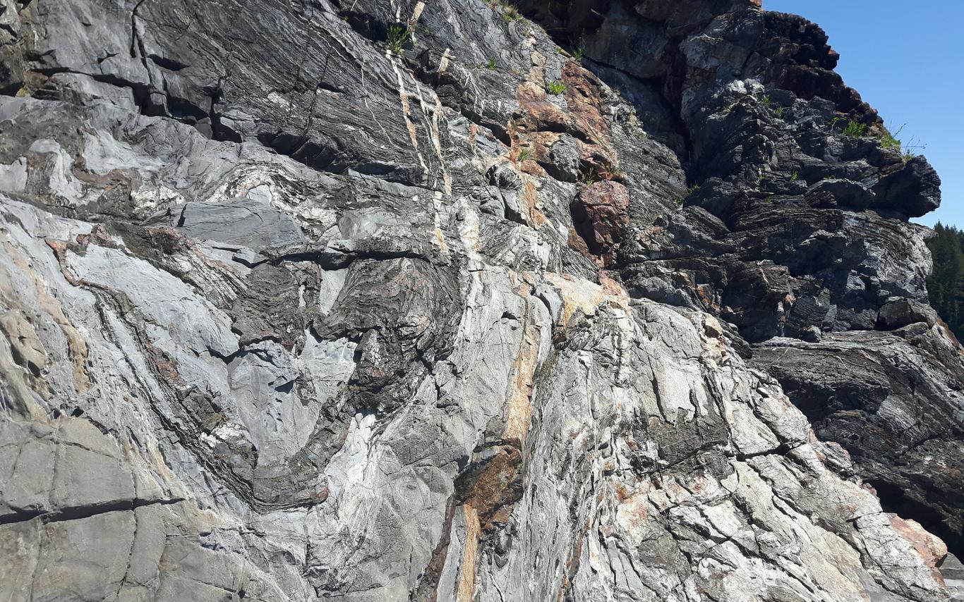 Folded limestone at our GEOL206 Field school site on Quadra Island