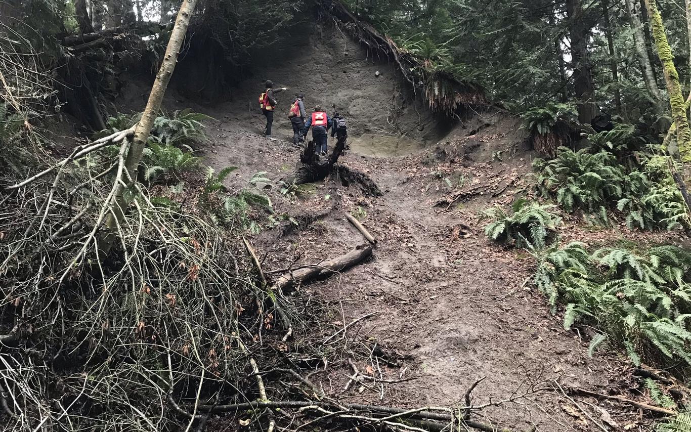 Students making observations of slope stability during a GEOL312 field trip