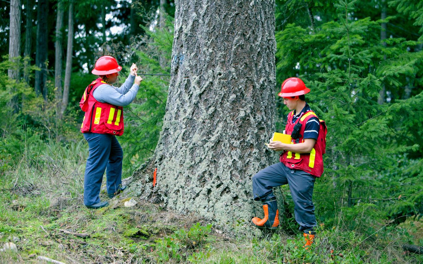 two students by tree in hard hats and vests