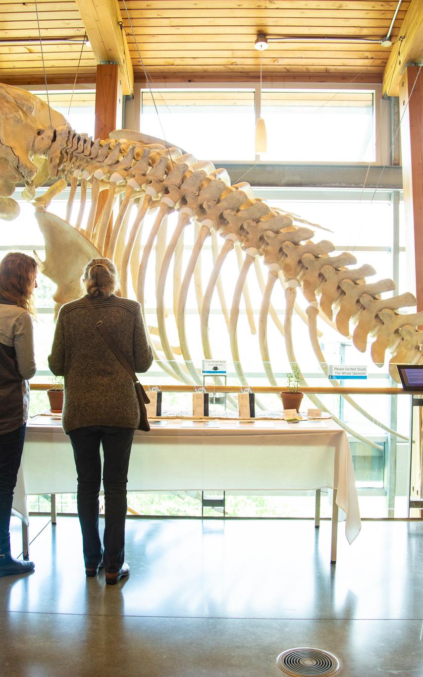 students listening to teacher in classroom