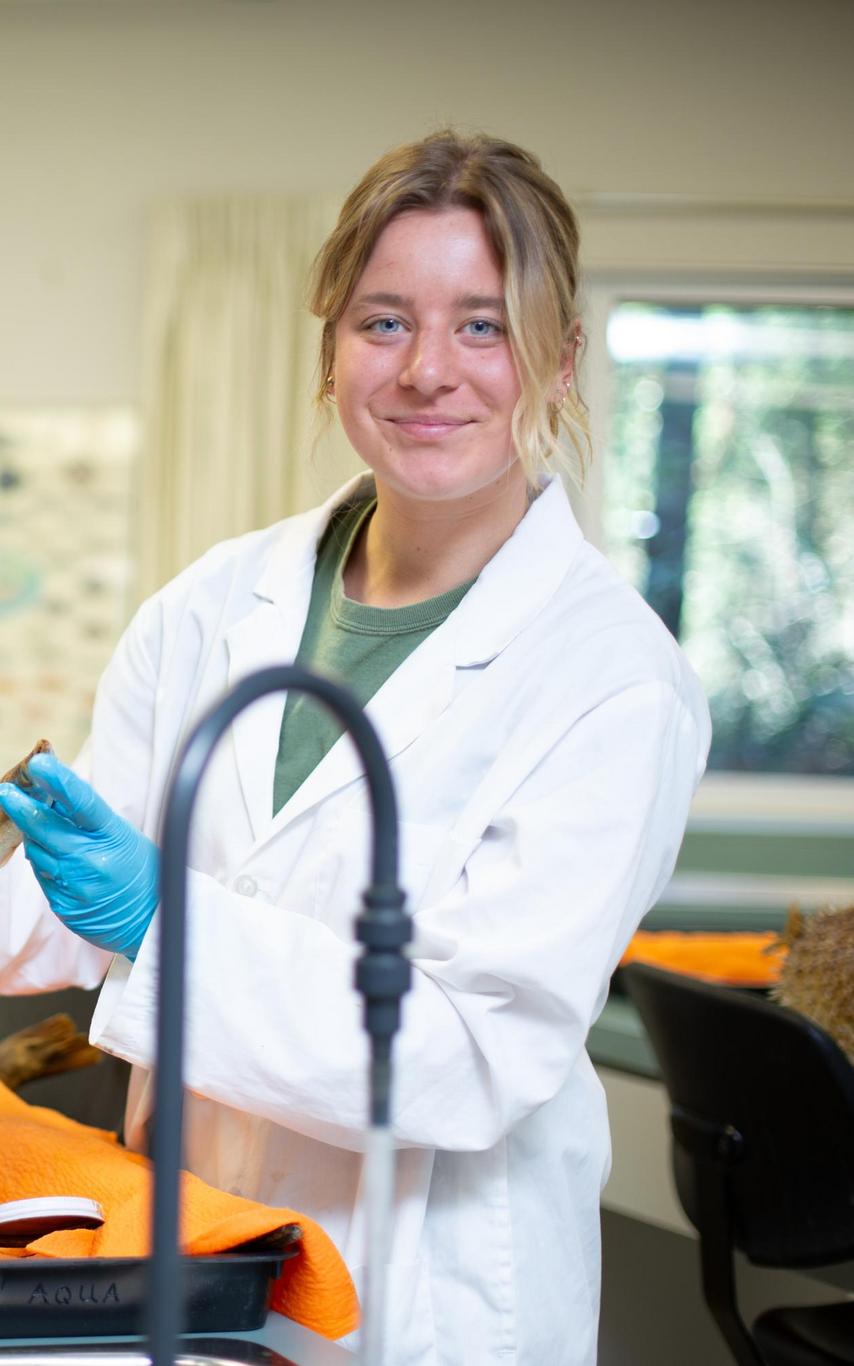 VIU student working in the fish lab